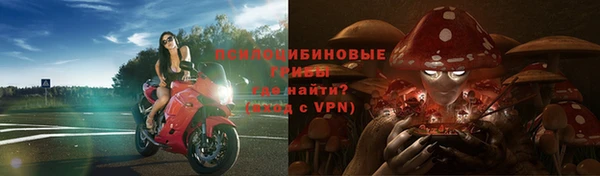 стаф Алексин